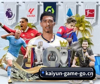 开云电竞 APP(KYEsport)